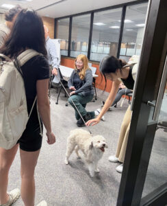 Students at the ESSC Open House enjoy a visit from a therapy dog.